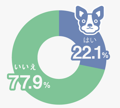 はい：22.1% いいえ：77.8%