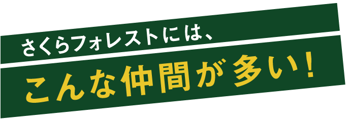 さくらフォレストにはこんな仲間が多い！