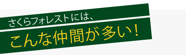 さくらフォレストにはこんな仲間が多い！